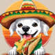 Mexxy